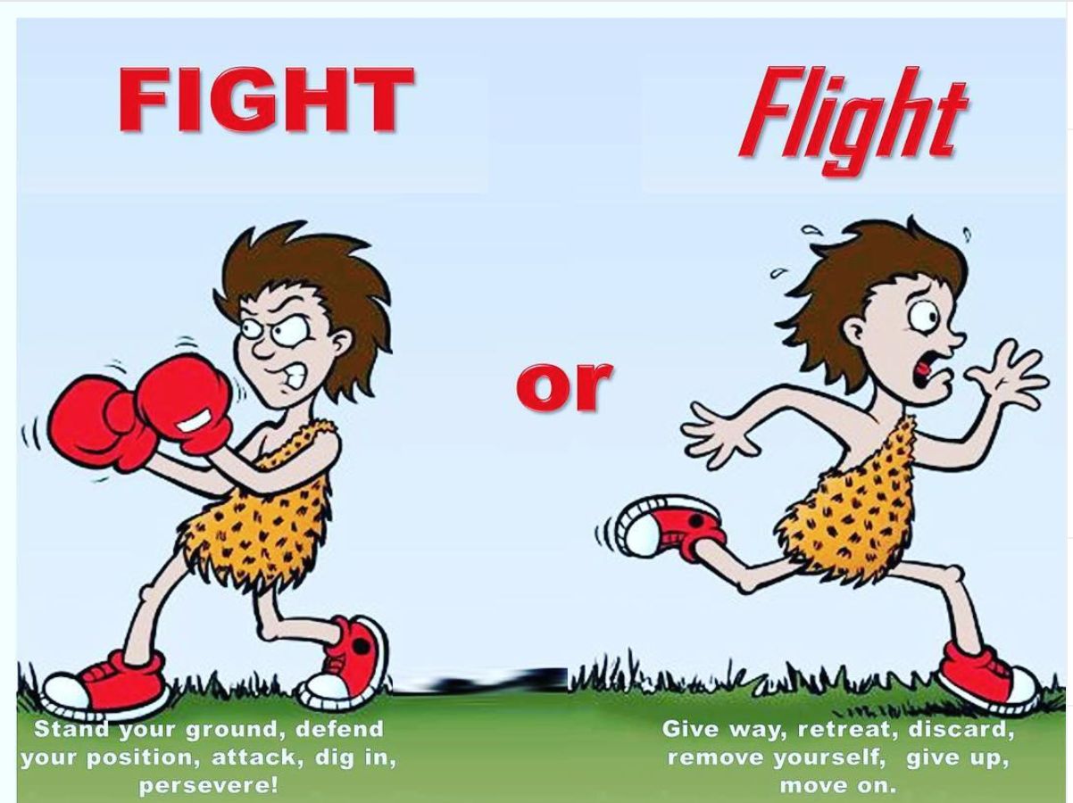 Illustration about fight-or-flight responses — how bodies react to stress, worry, or feeling unsafe.